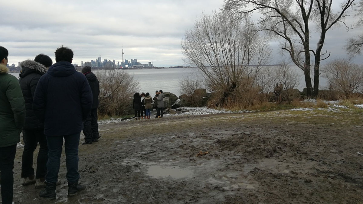 اخبار-تورنتو-مونولیت-اسرارآمیز-سر-از-تورنتو-درآورد-ناپدید-غیب-شدن-مونولیت