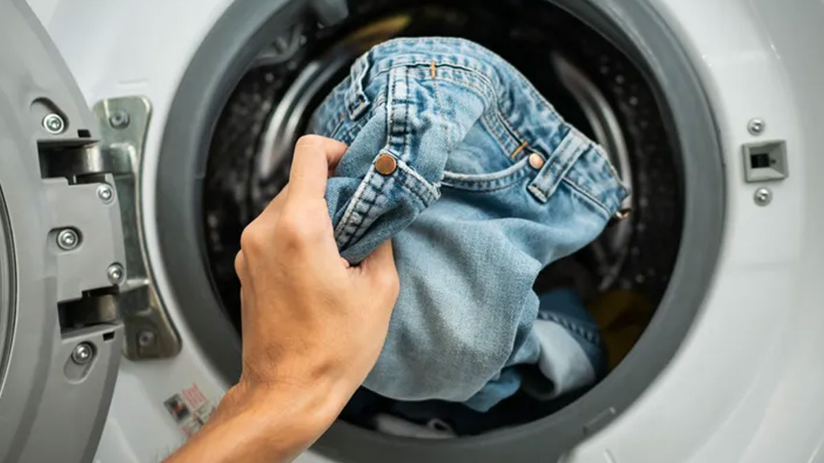 اخبار-جهان-علم-اینقدر-شلوار-جین-لی-خود-را-نشورید