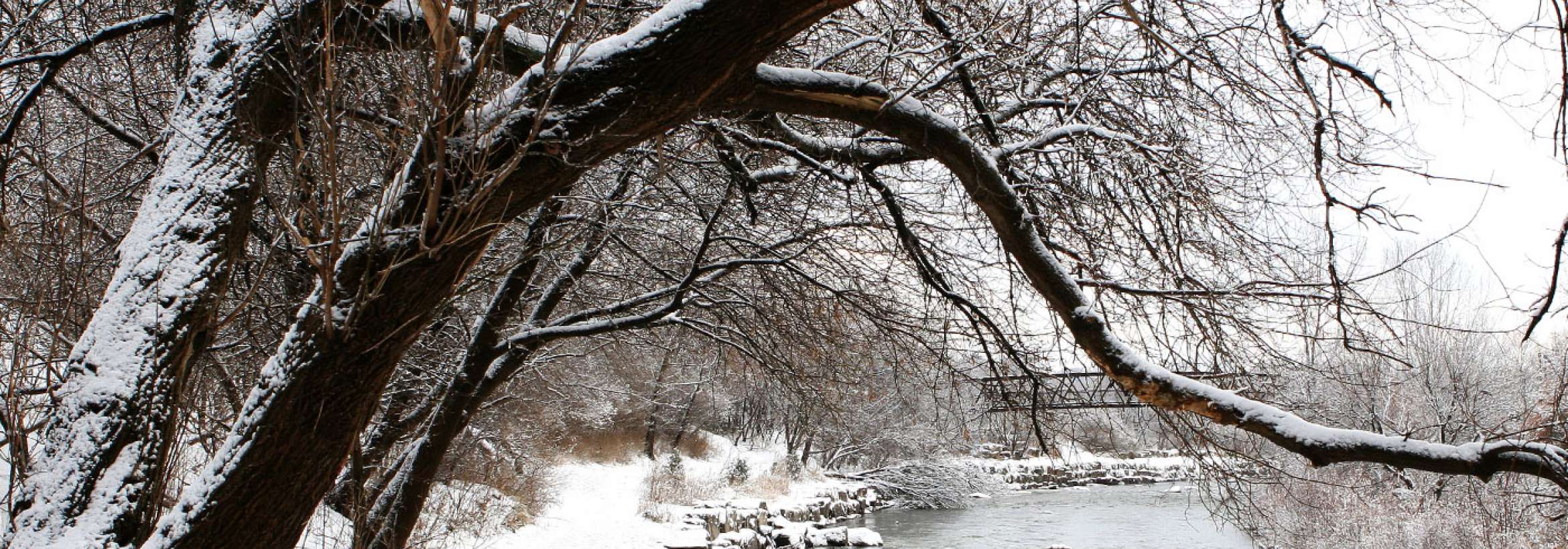 پیچ رود برفی