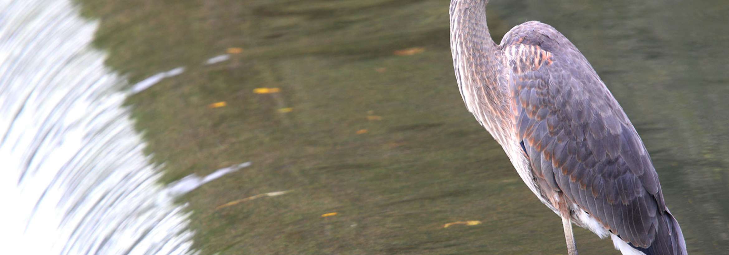 بر لبه آبشار