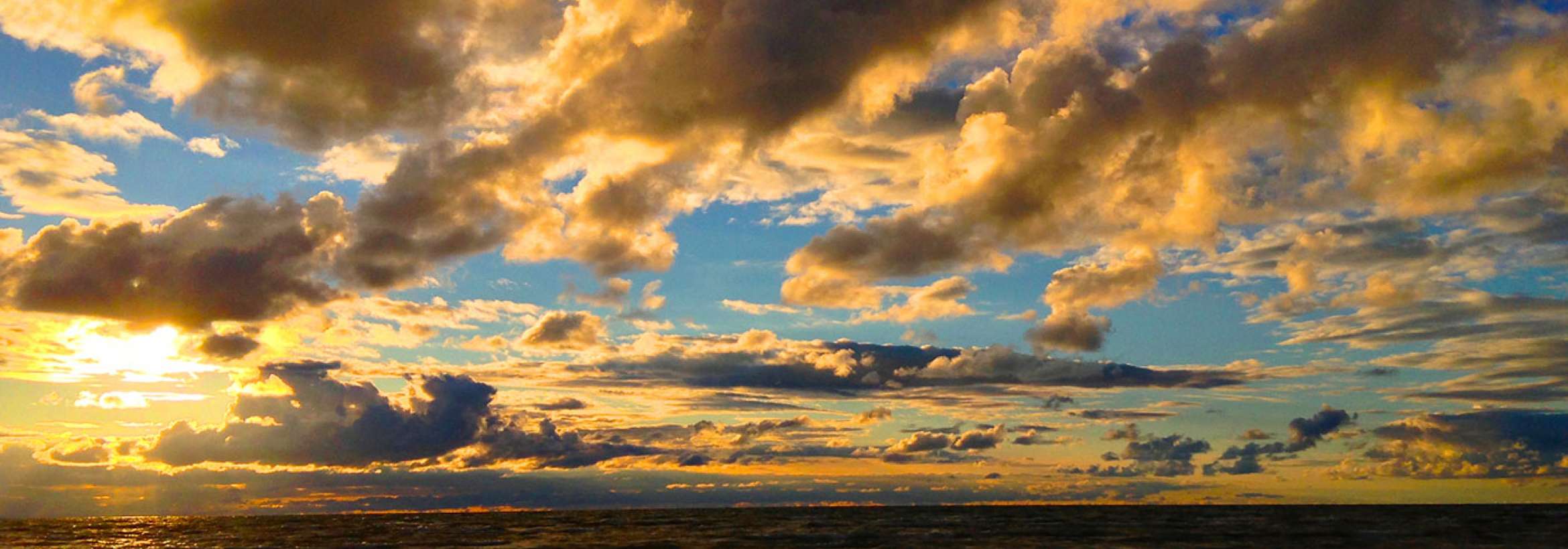 زرد و سیاه و آبی