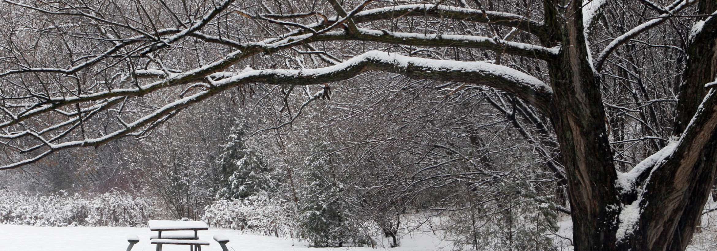 سری به پارکی در زمستان