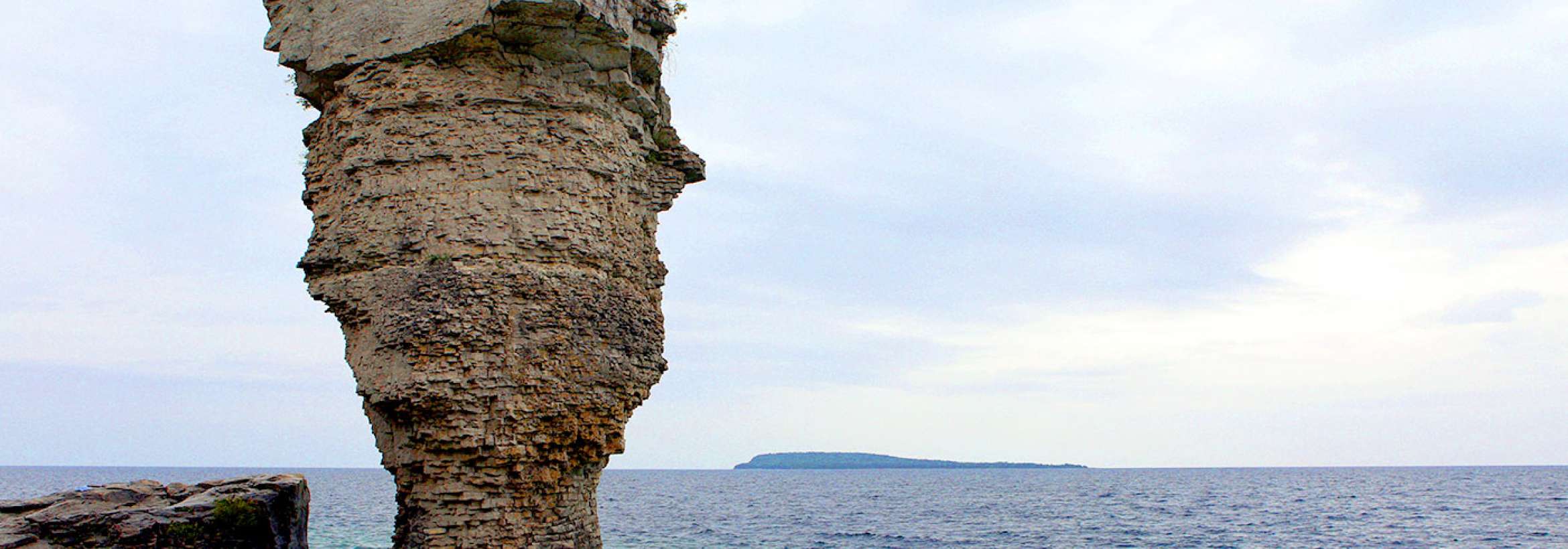 تنها بجا مانده