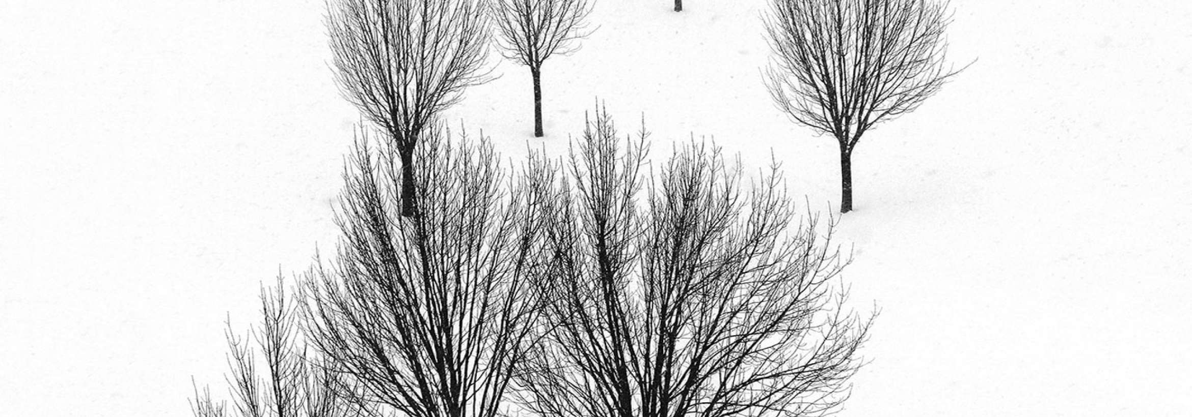 سیاه و سپید