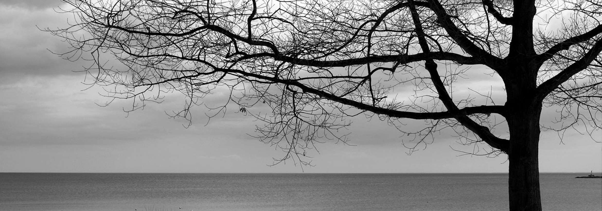 آرامش پس از برف