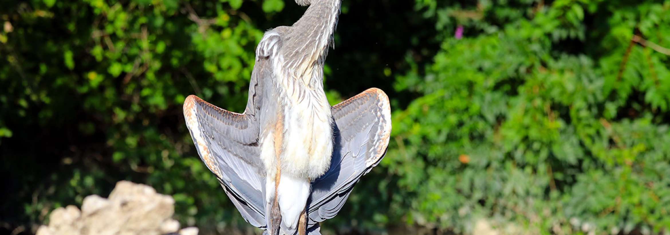 خشک کردن پس از شنا