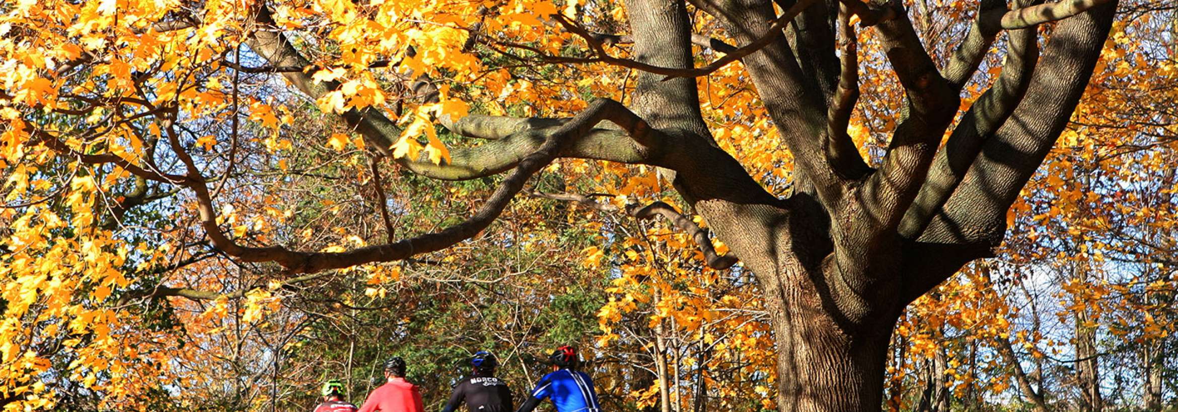 دوچرخه سواران پائیزگرد