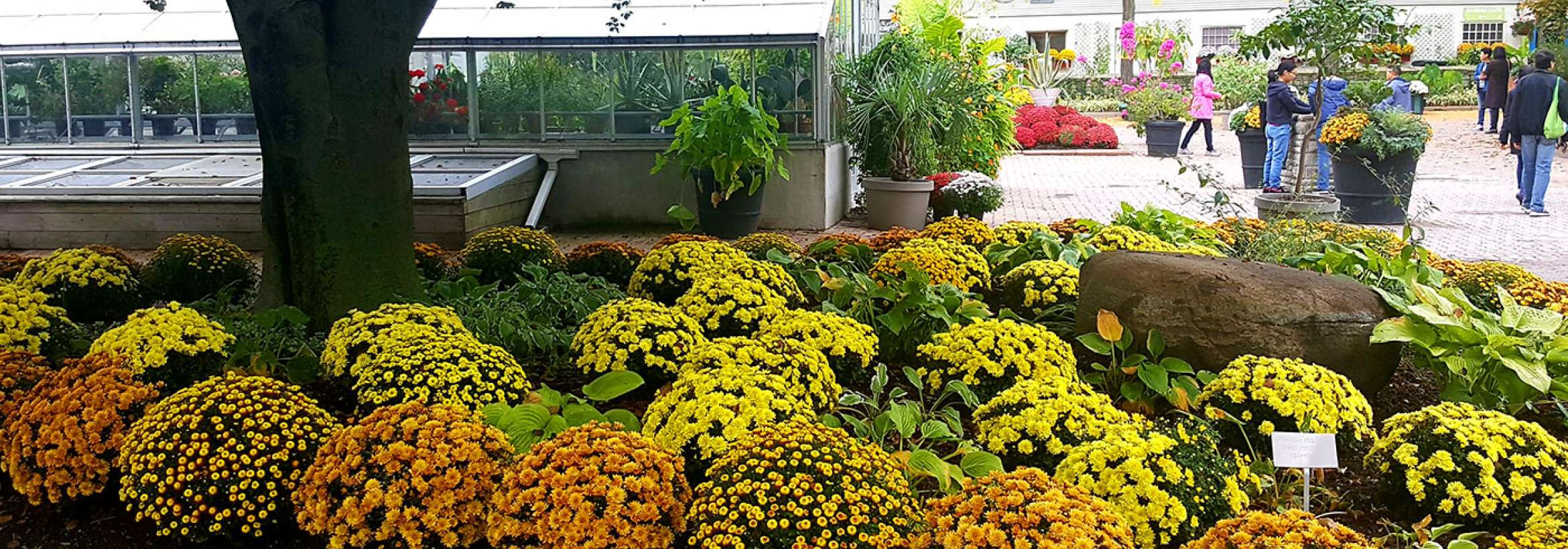 پائیز پارک باغ عمومی