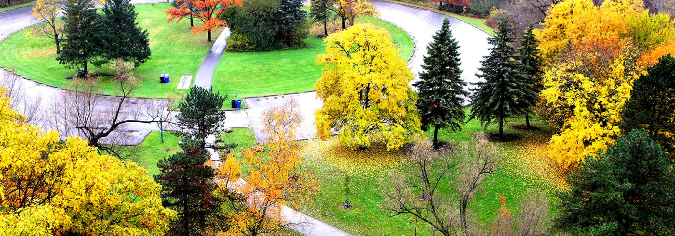 پائیز در میدان پارک