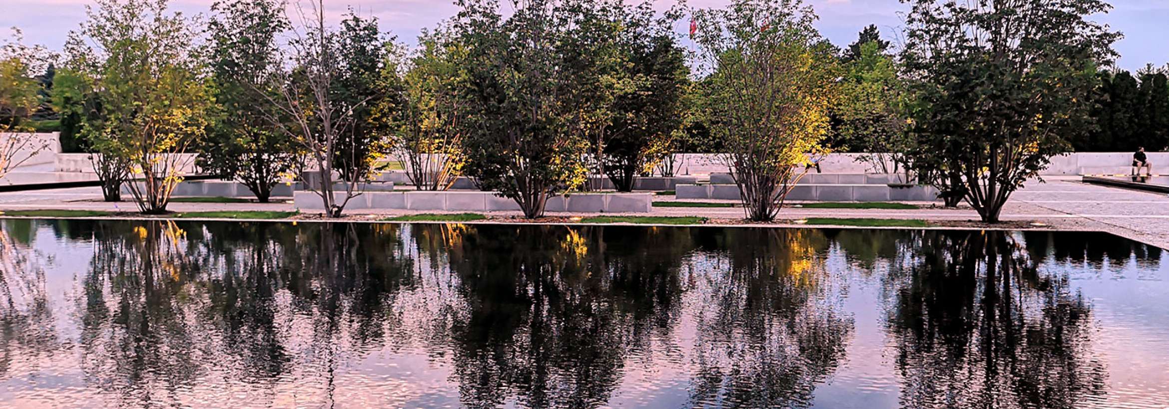 انعکاسی معکوس