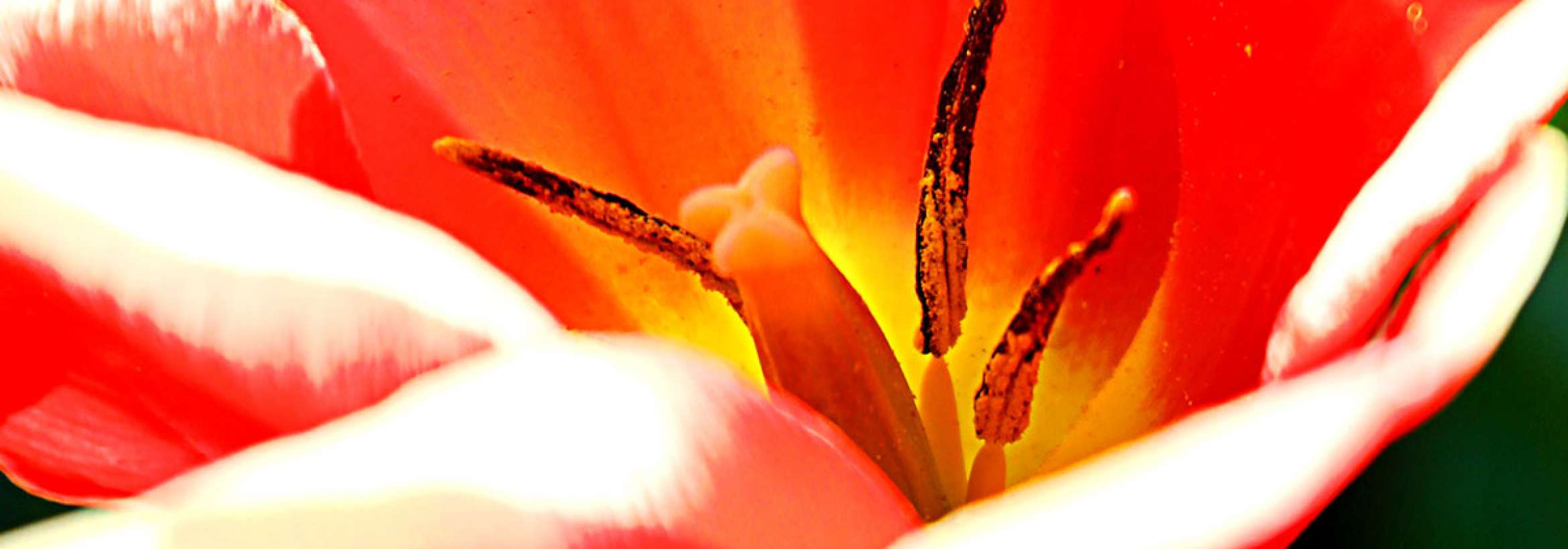 کلاله و پرچم