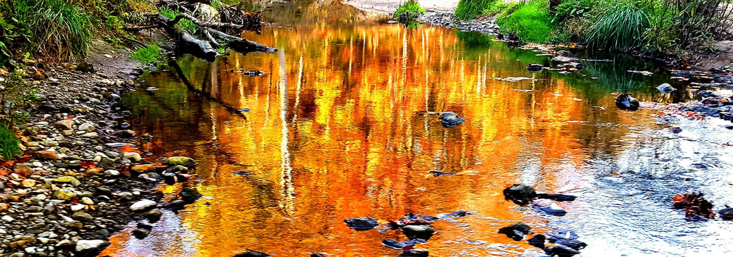 بازتاب جنگل پائیزی در نهر