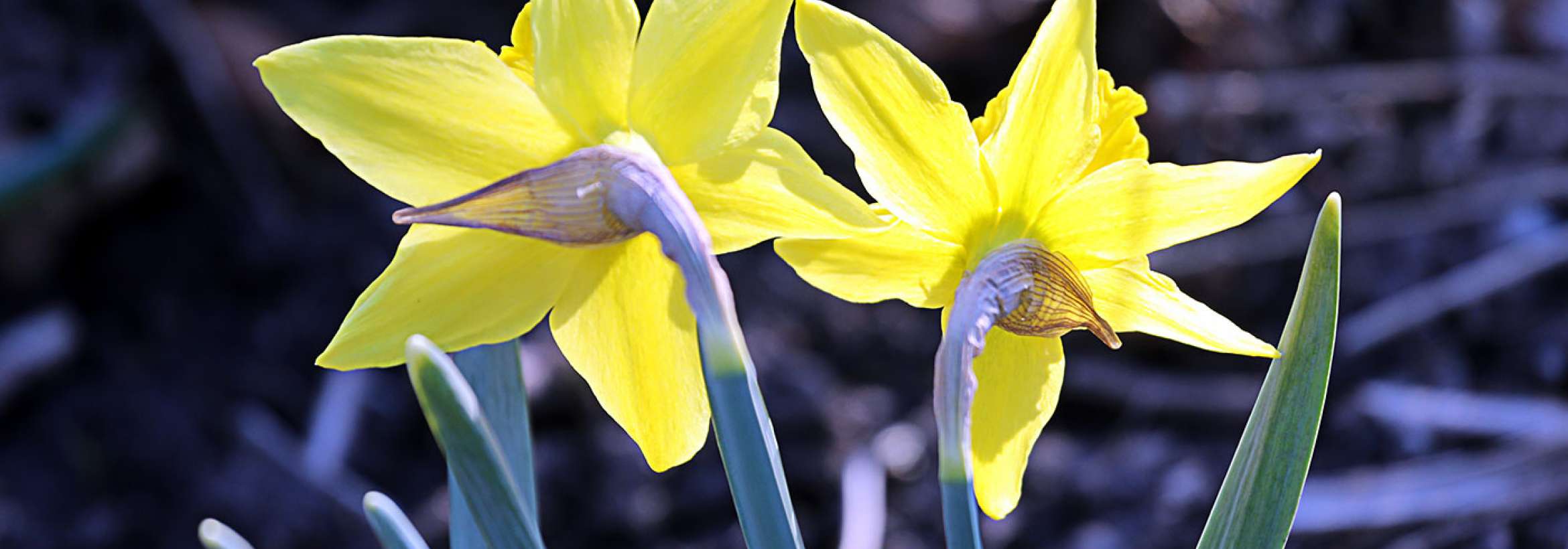 از زاویه‌ای دیگر