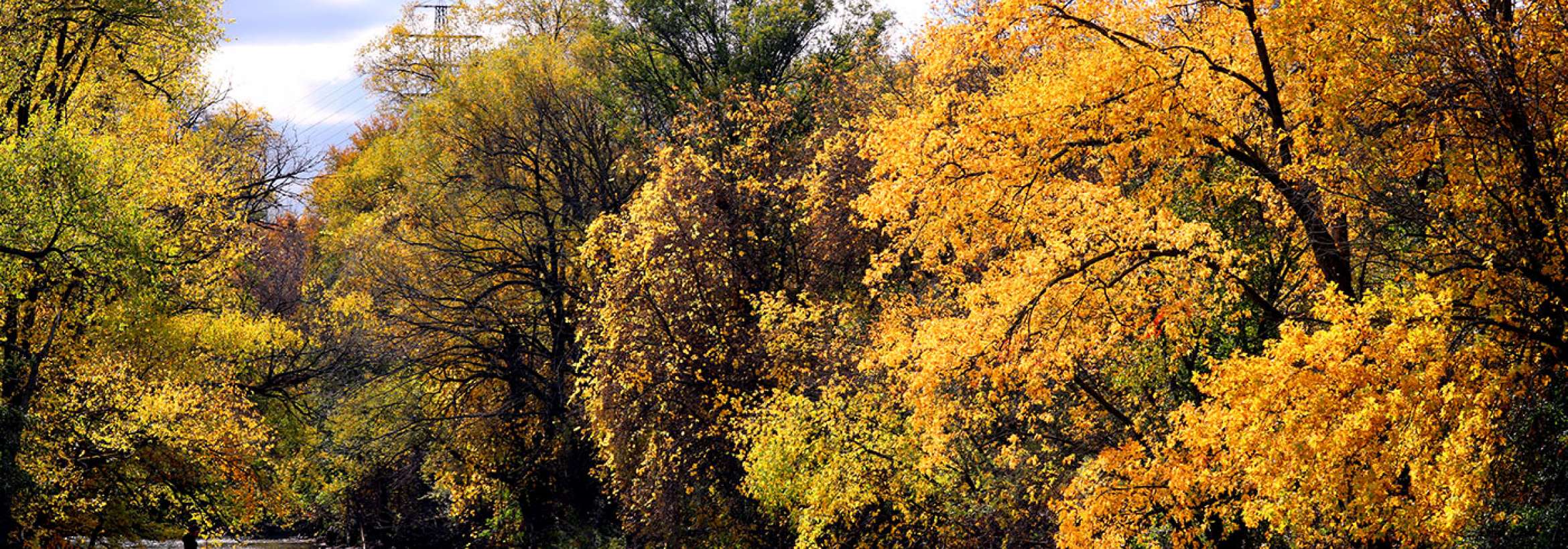 پائیز فتاده در رود