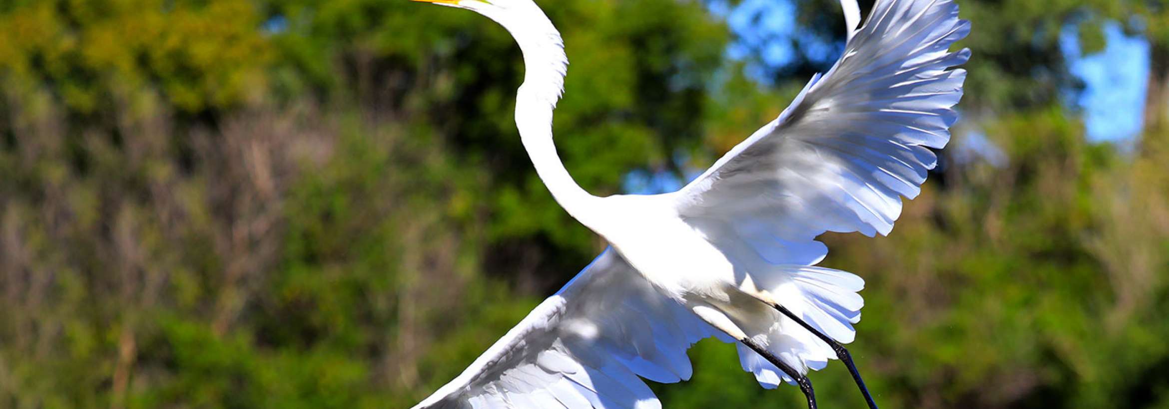 به هوا خاسته