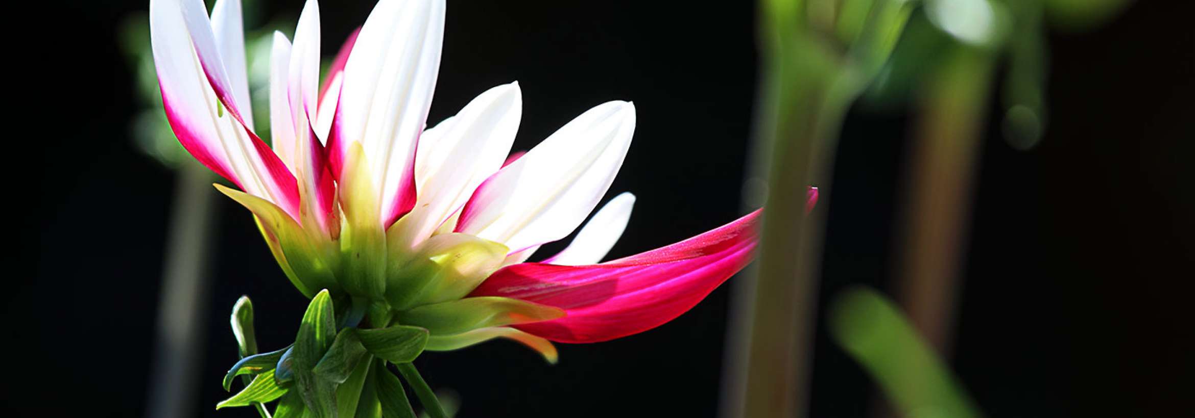 ایستاده رو به آسمان تاریک