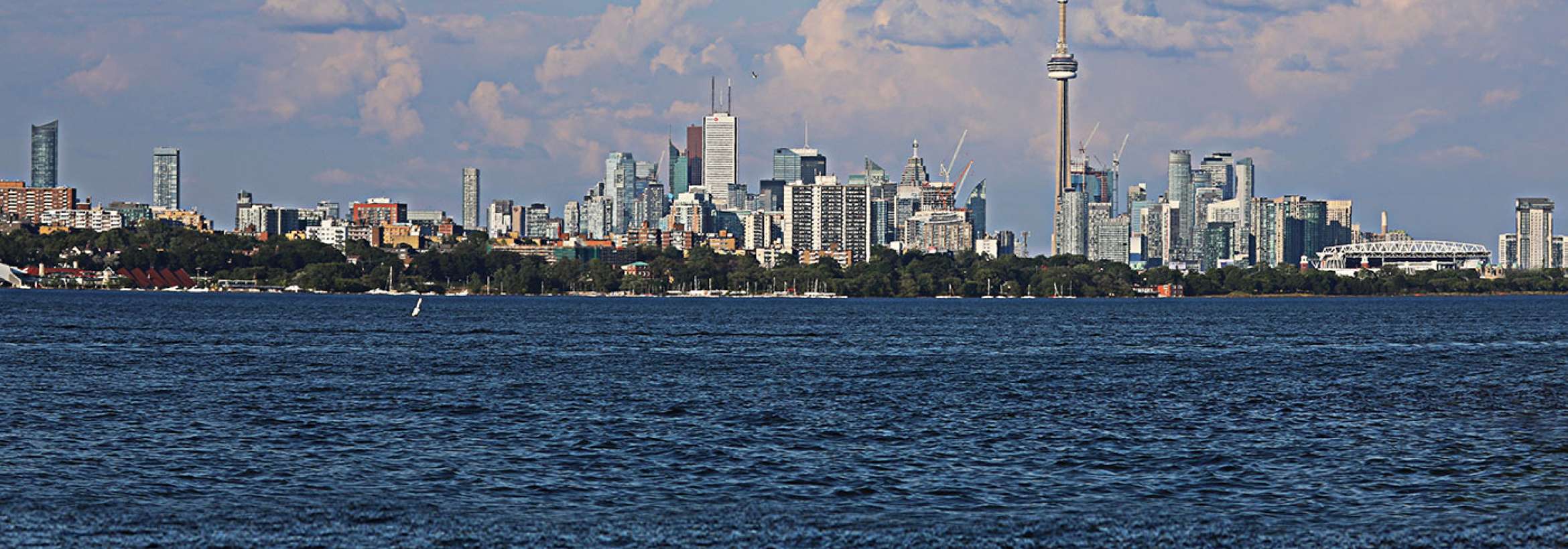 تورنتو، تابستان، گرما