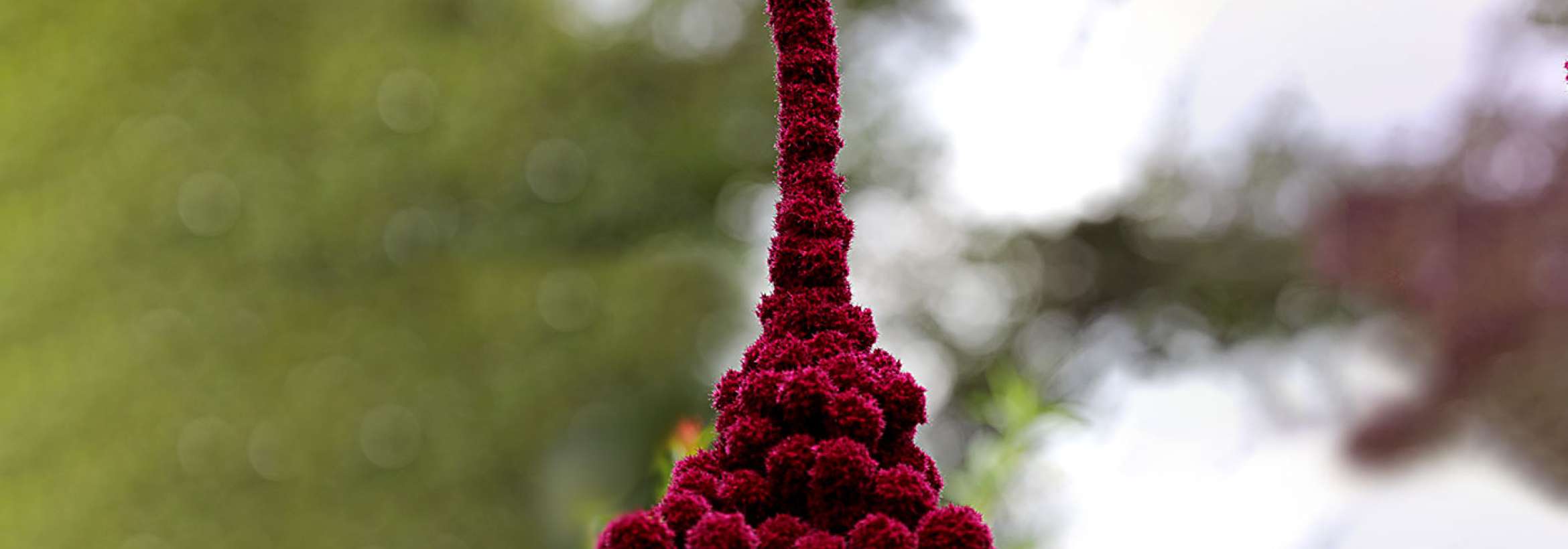 برج یا تاج گل