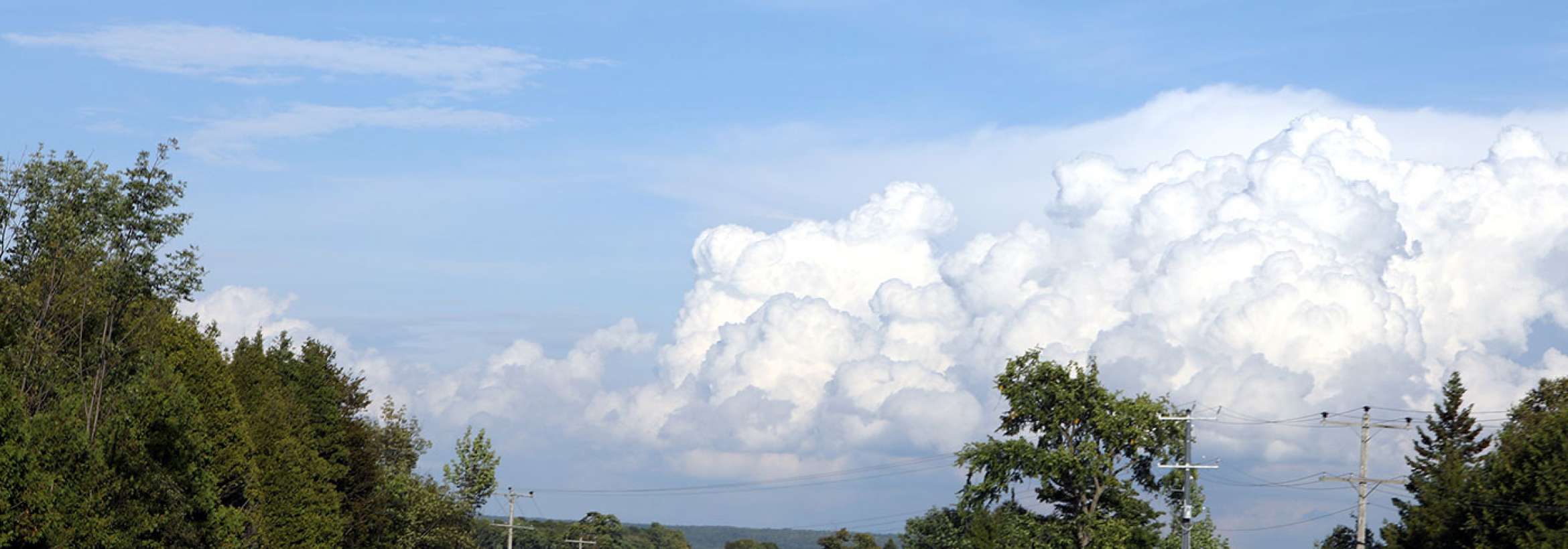 بسوی درخت و آسمان و ابر