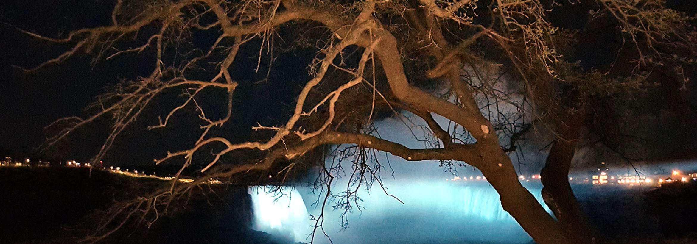 درخت اواسط پائیز آبشار نیاگارا