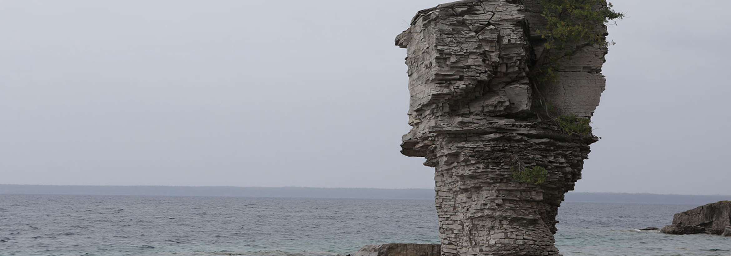 صخره گلدانی