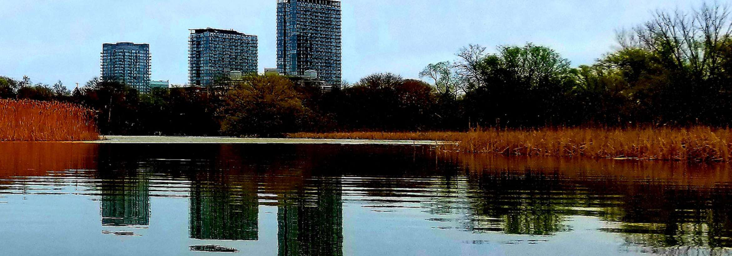 آب، درخت، آپارتمان