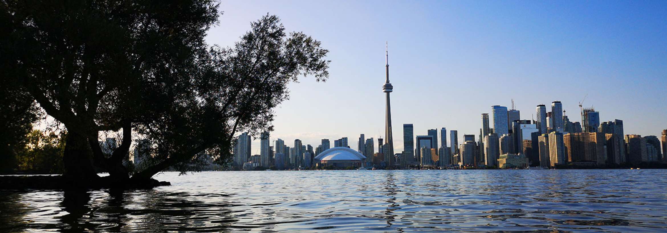 تورنتوی آبی آبی