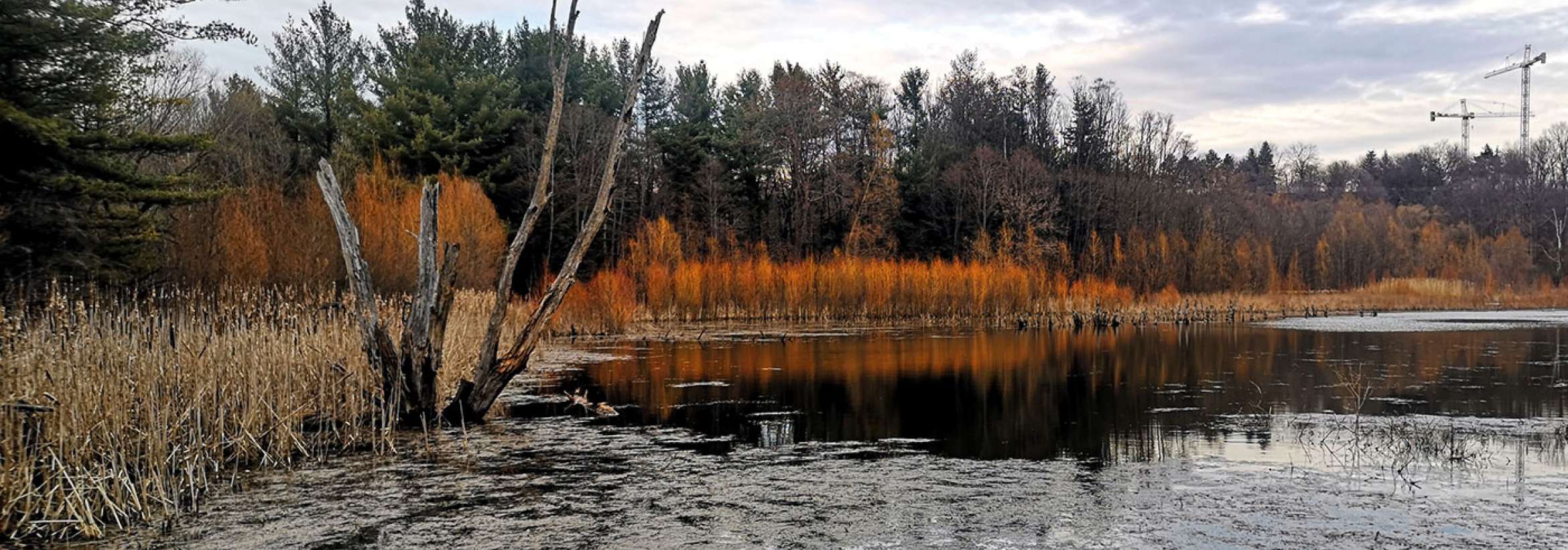 بیداری از خواب زمستانی