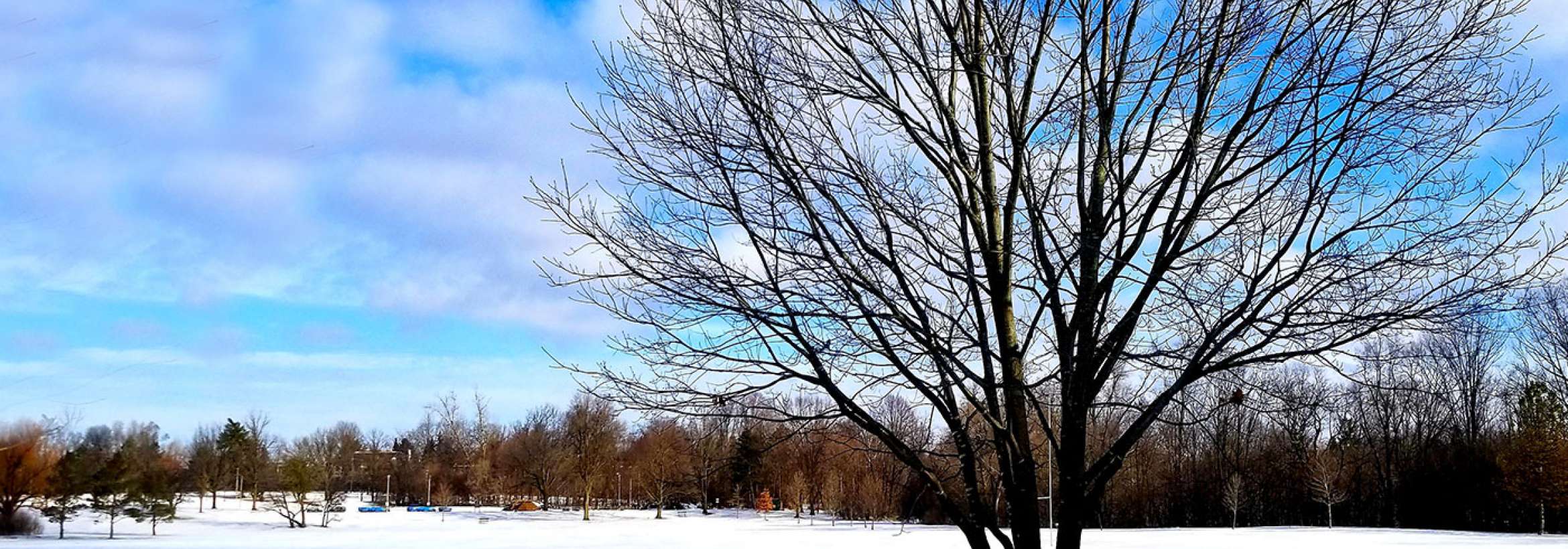 زمستان در پارک