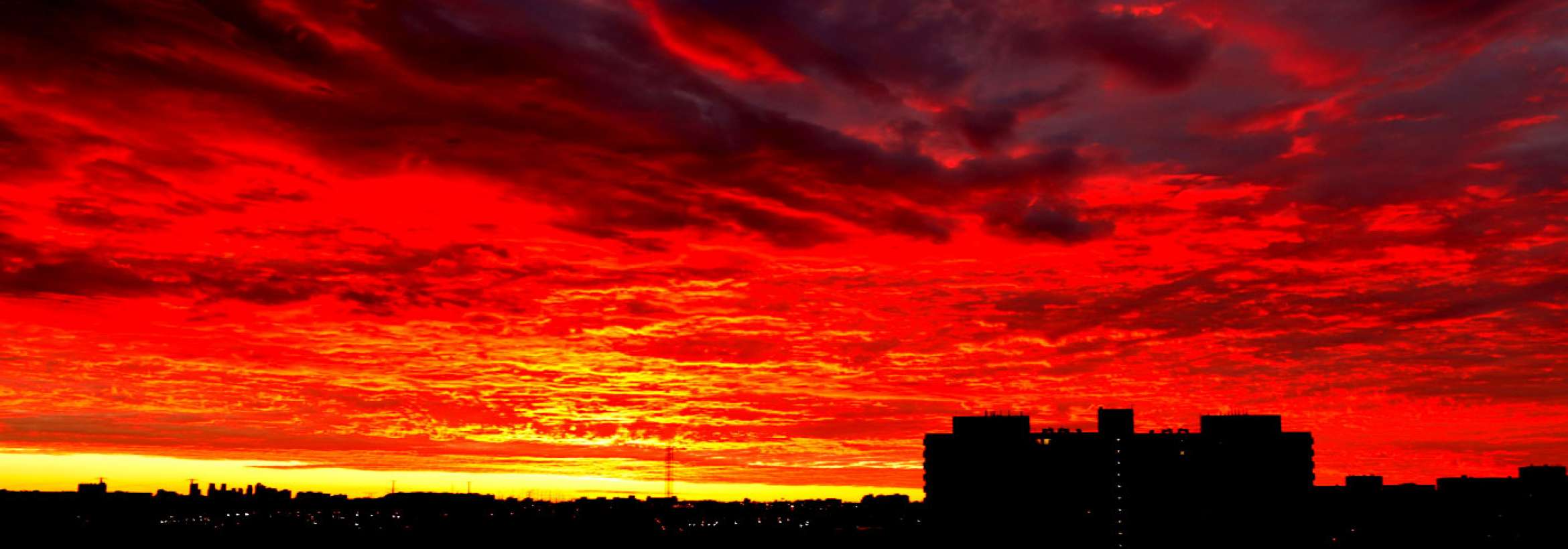 زرد و سرخ میان سیاهی