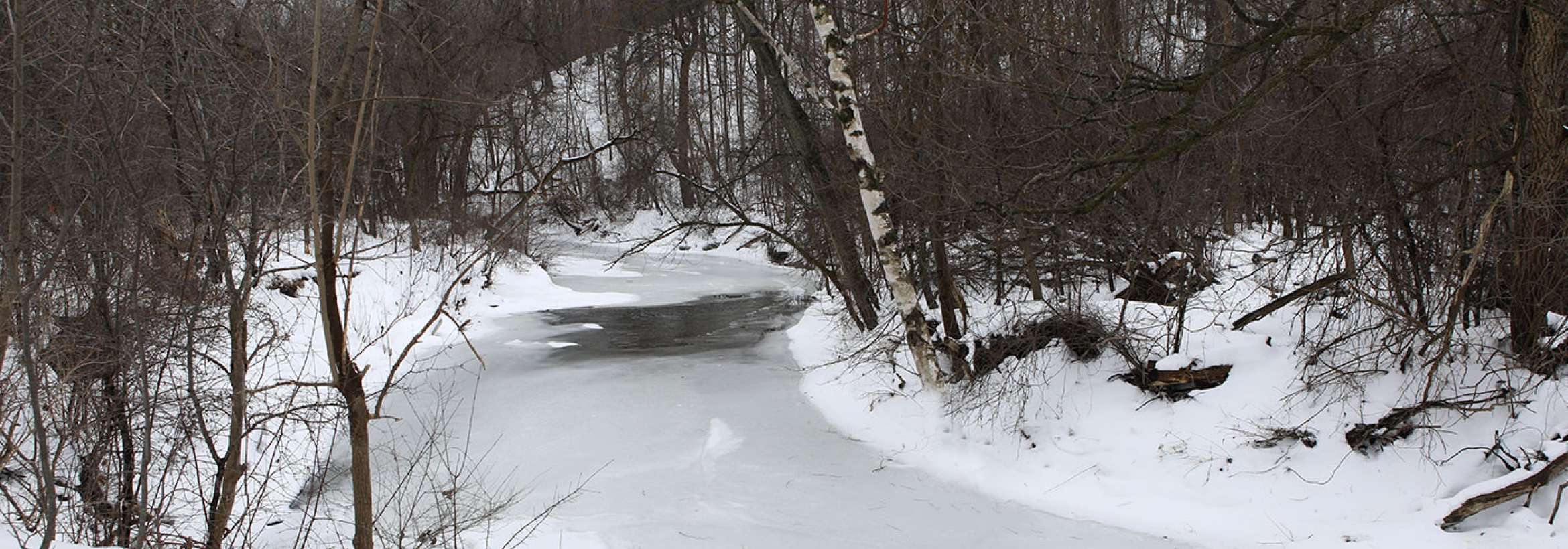 نهر، آب، برف، یخ