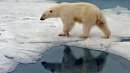 اخبار-کانادا-این-قرن-قطب-شمال-بدون-یخ-خواهد-بود