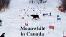 خبر-کانادا-پس-از-برف-سنگین-باران-یخی-سرما-هفته-گذشته-تورنتو-ونکوور-مونترال-هوا-چگونه