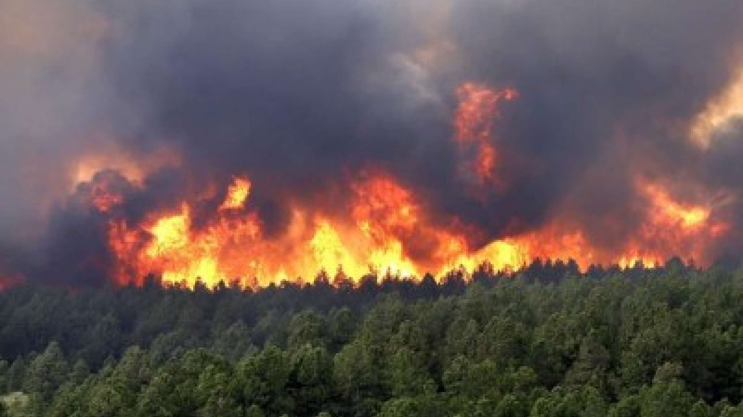 پشت-پرده-ناکارآمدی-دردناک-در-اطفای-حریق-جنگل‌-های-زاگرس