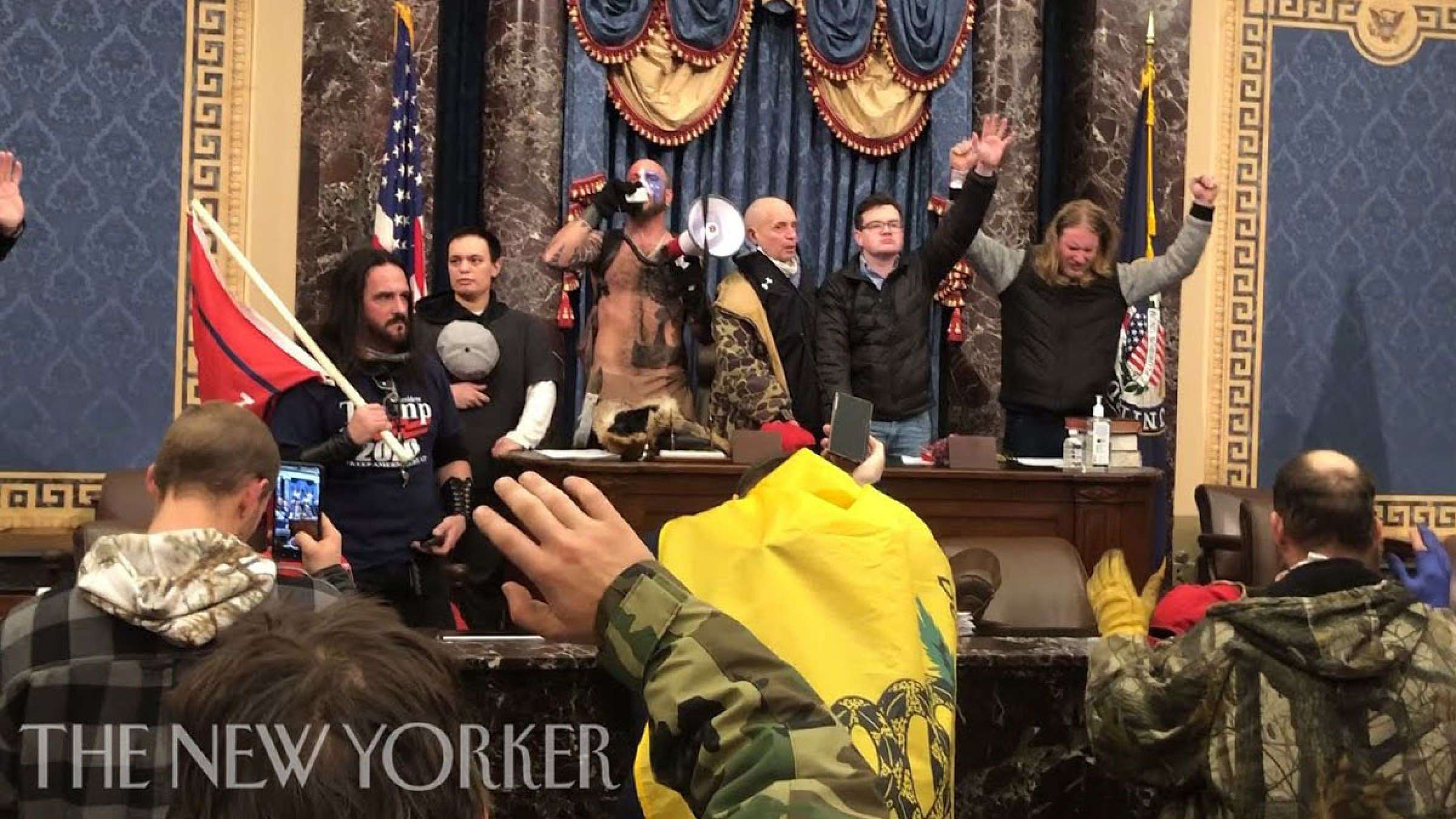 اخبار-آمریکا-فیلم-اشغال-مجلس-آمریکا-توسط-خبرنگار-نیویورکر-در-میان-معترضان-منتشر-شد