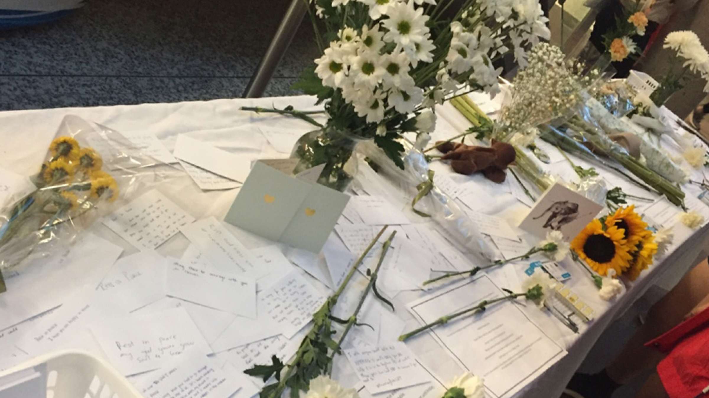 اخبار-تورنتو-برای-جلوگیری-از-خودکشی-دانشجویان-تورنتویی-مانع-نصب-میشود اخبار-تورنتو-برای-جلوگیری-از-خودکشی-دانشجویان-تورنتویی-مانع-نصب-میشود