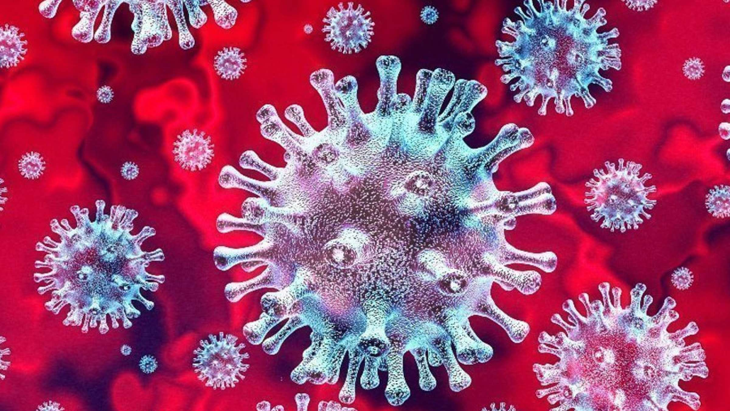 اخبار-تورنتو-سه-ایرانی-و-یک-مصری-مبتلایان-کرونایی-امروز-انتاریو-هستند