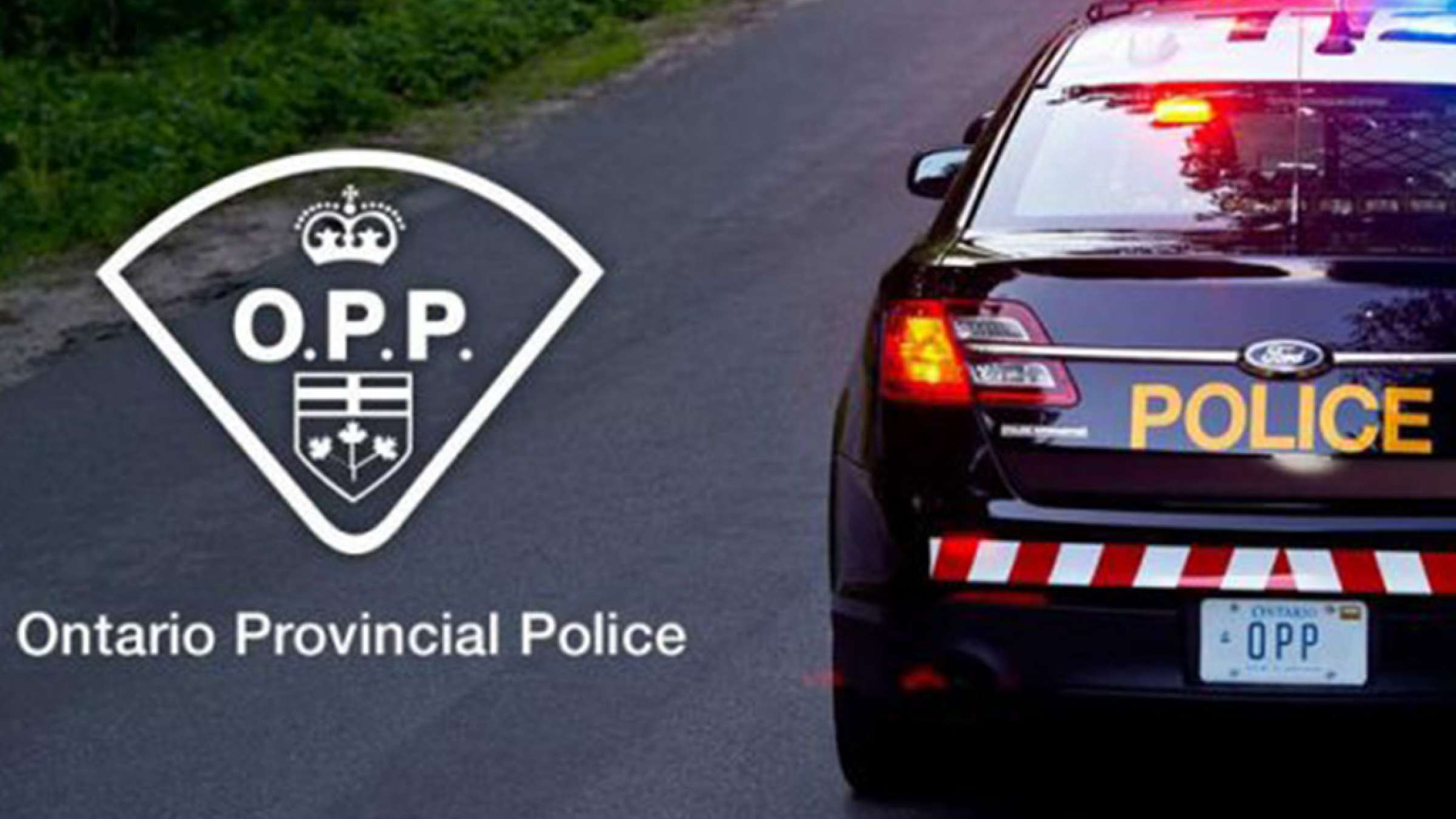 اخبار-تورنتو-پلیس-انتاریو-دیگر-جنسیت-افراد-در-جرایم-را-ذکر-نمیکند اخبار-تورنتو-پلیس-انتاریو-دیگر-جنسیت-افراد-در-جرایم-را-ذکر-نمیکند