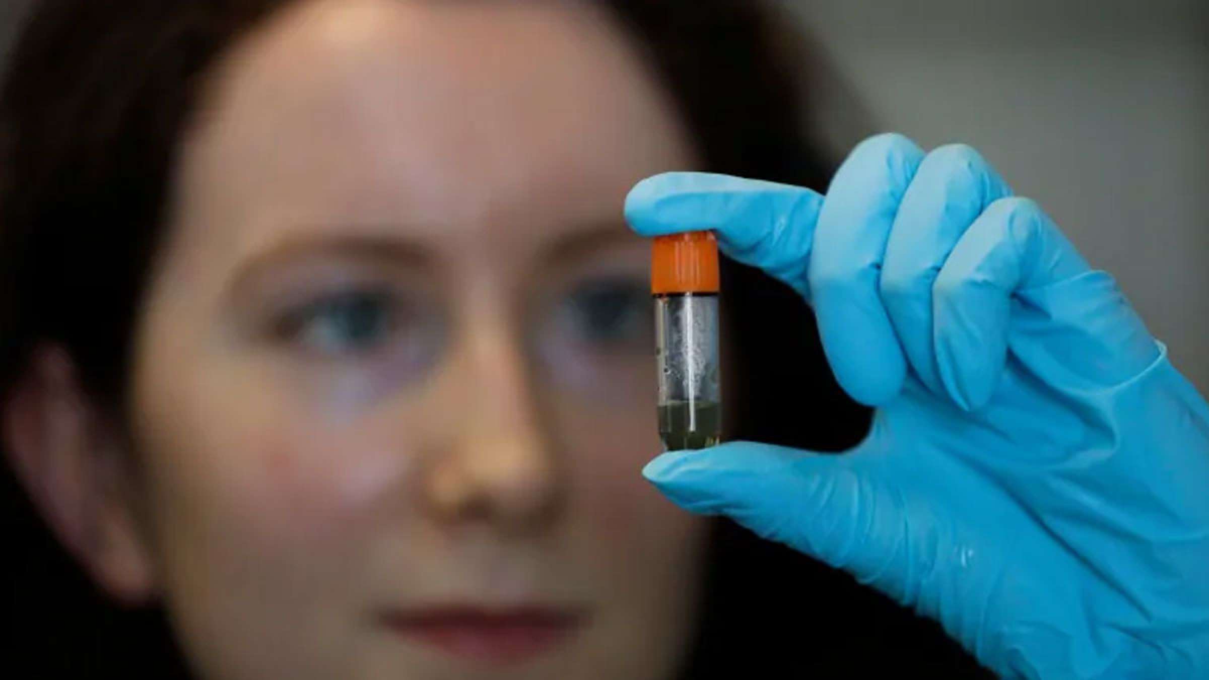 اخبار-جهان-خبر-بد-کرونا-آنتی-بادی-کرونا-با-گذشت-زمان-افت-می-کند اخبار-جهان-خبر-بد-کرونا-آنتی-بادی-کرونا-با-گذشت-زمان-افت-می-کند