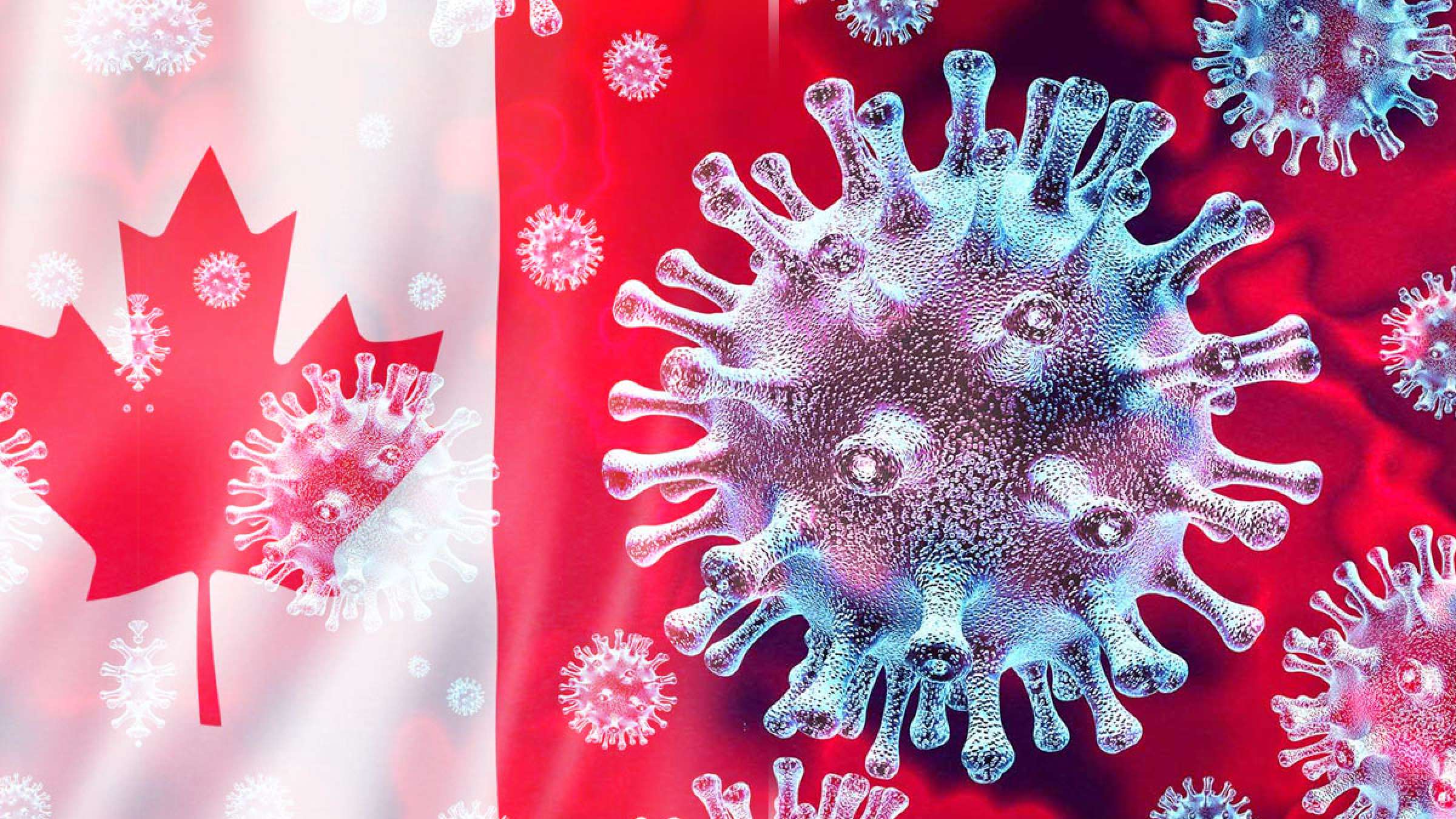 بیداد کرونای برزیلی در آلبرتا و بریتیش کلمبیا و کرونای انگلیسی در انتاریو و کبک؛ خورشید قاتل کرونا