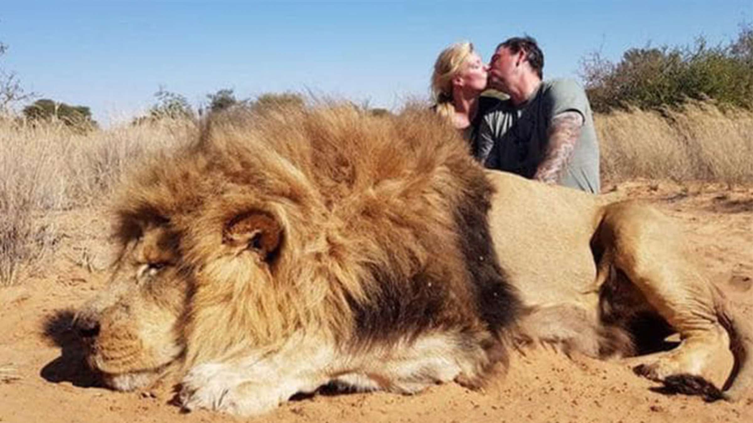 اخبار-کانادا-جنجال-بر-سر-عکس-بوسه-دو-نامزد-کانادایی-کنار-جنازه-شیر اخبار-کانادا-جنجال-بر-سر-عکس-بوسه-دو-نامزد-کانادایی-کنار-جنازه-شیر