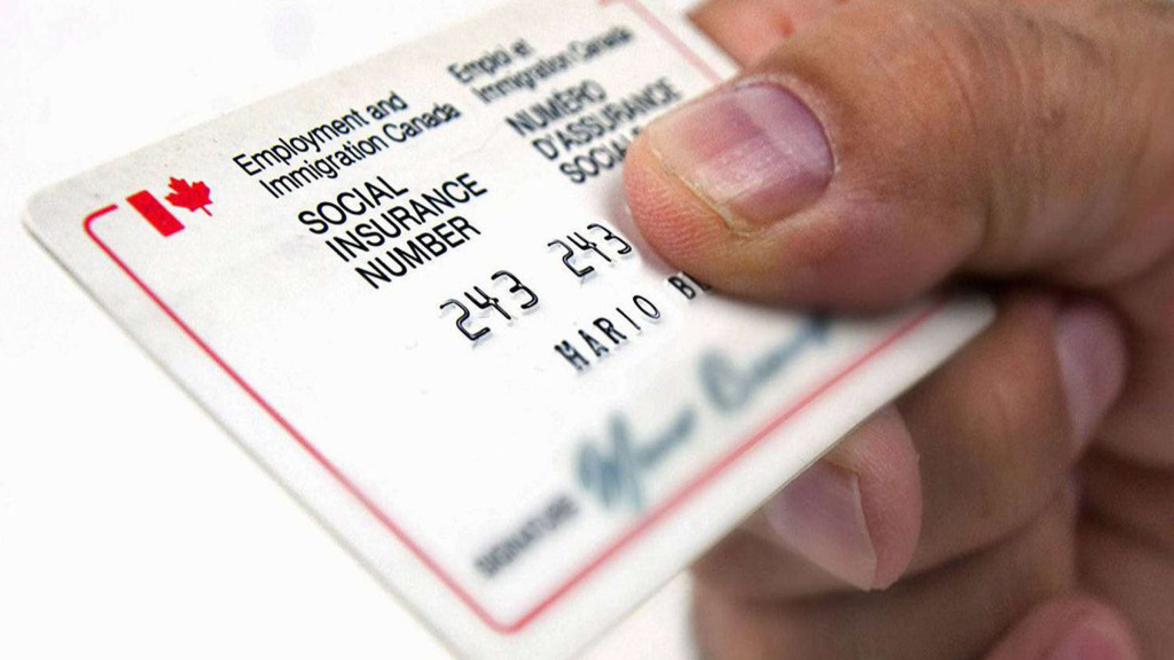 اخبار-کانادا-شاید-شماره-ملی-شما-جایگزین-شود