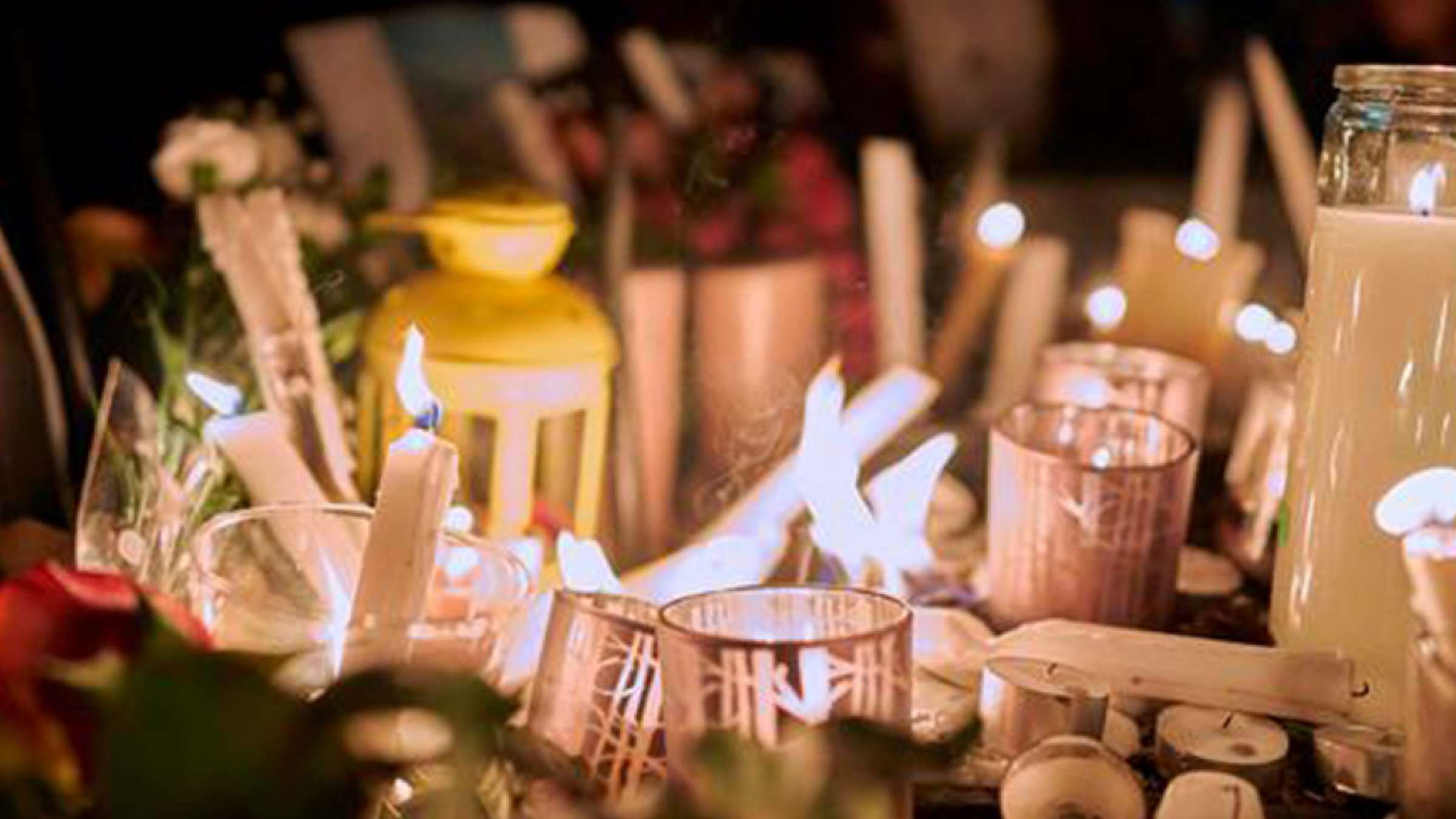 ادبیات-گل‌محمدی-این-روزها