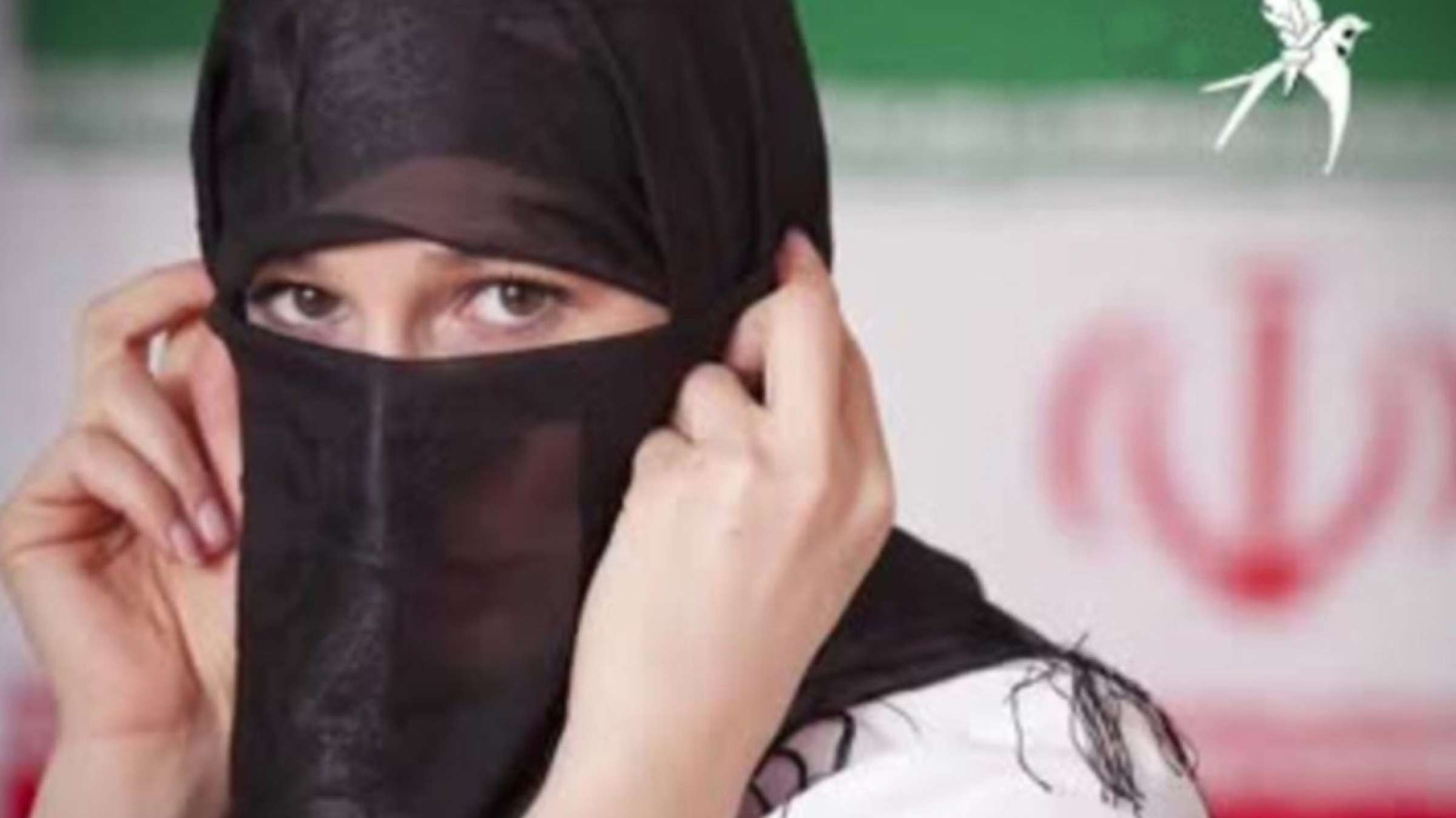 اندر-حکایت-شعر-پرستوی-فضول‌خان-فضول‌-طنز