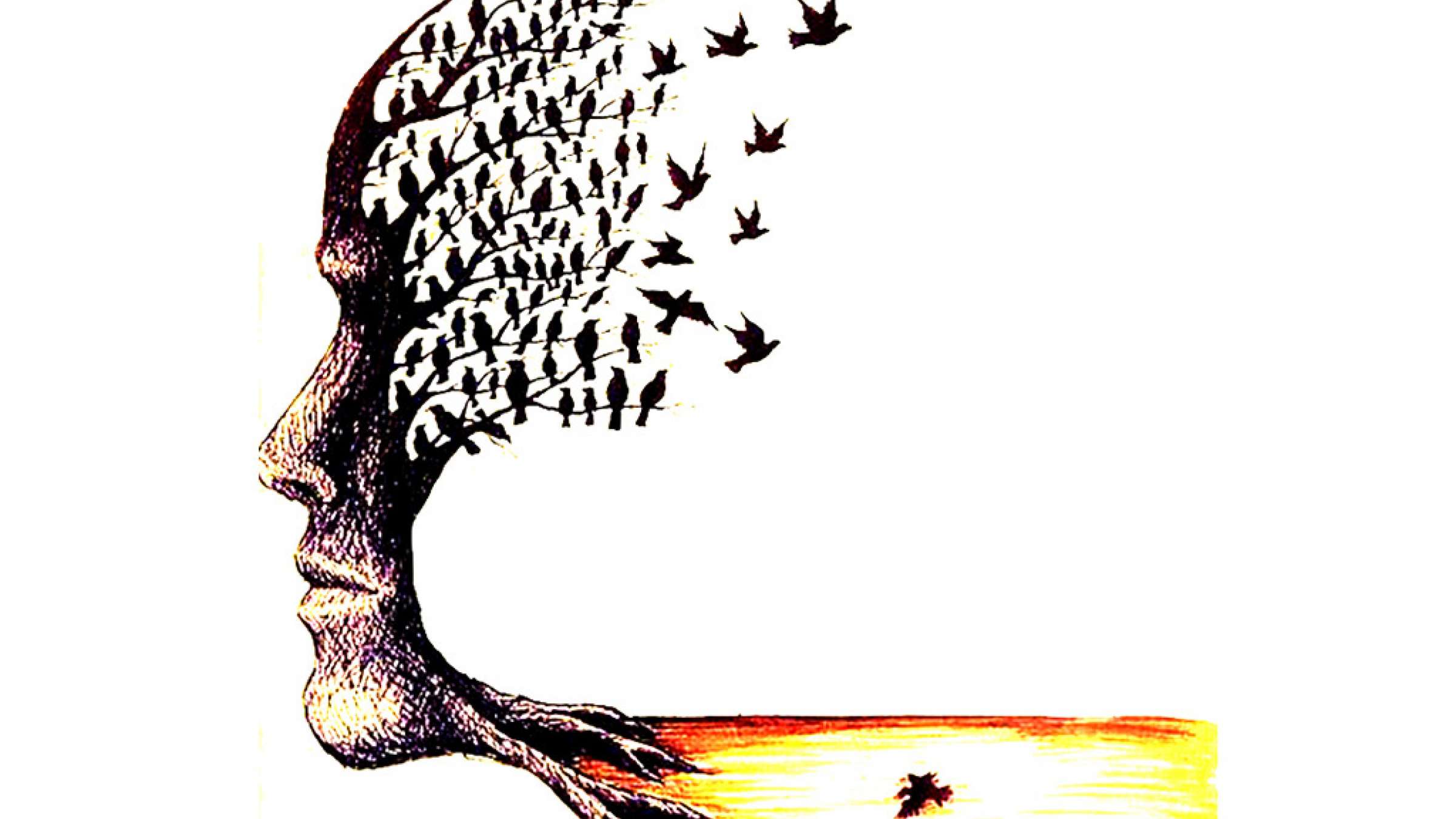 جلاییفر-داستان-الکساندر-آزادی جلاییفر-داستان-الکساندر-آزادی