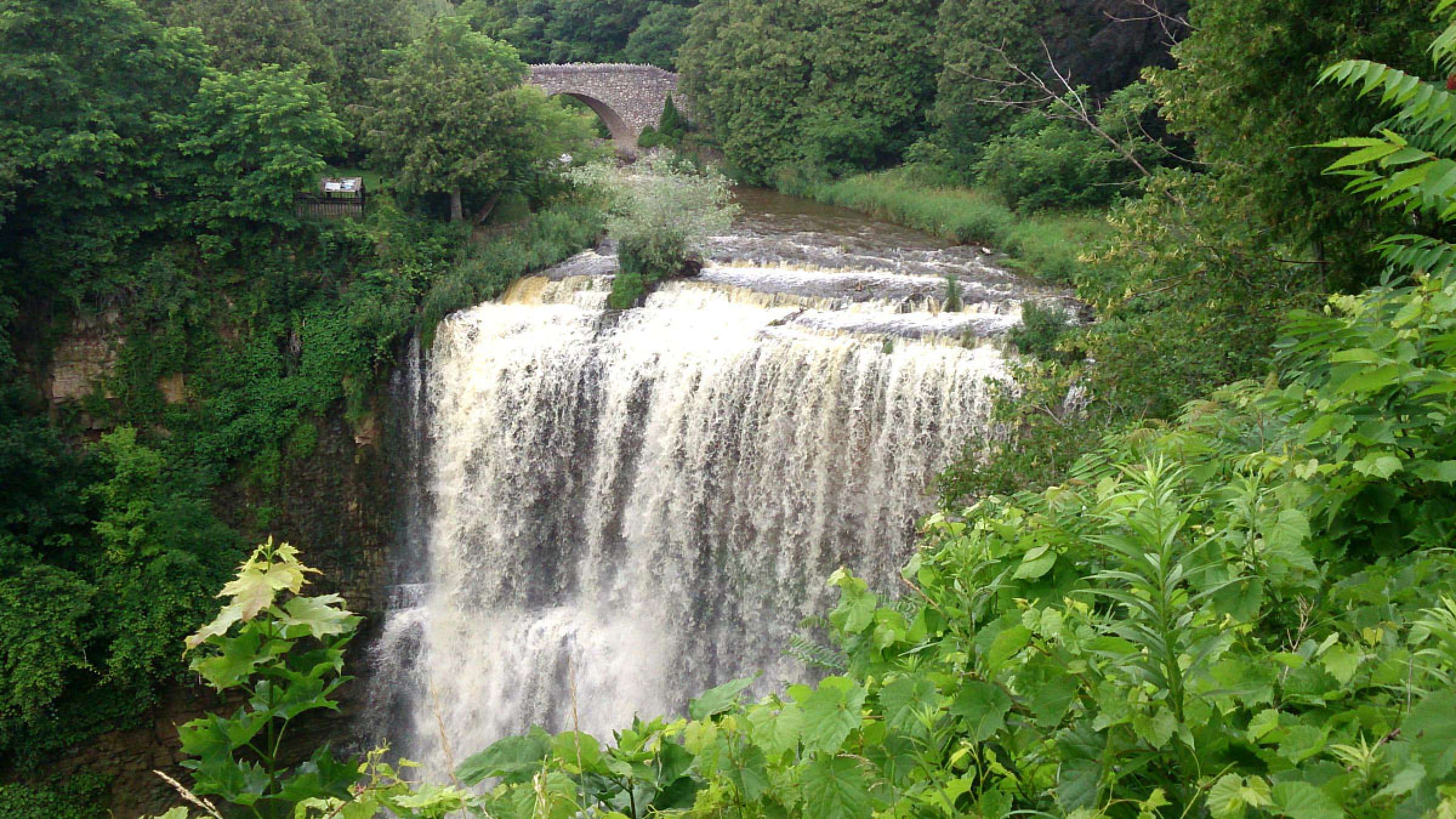 خانواده-تورنتو-گردش-آبشار-وبستر-همیلتون-بلیت-بازدید-آنلاین-هر-دو-جایگاه-آبشار