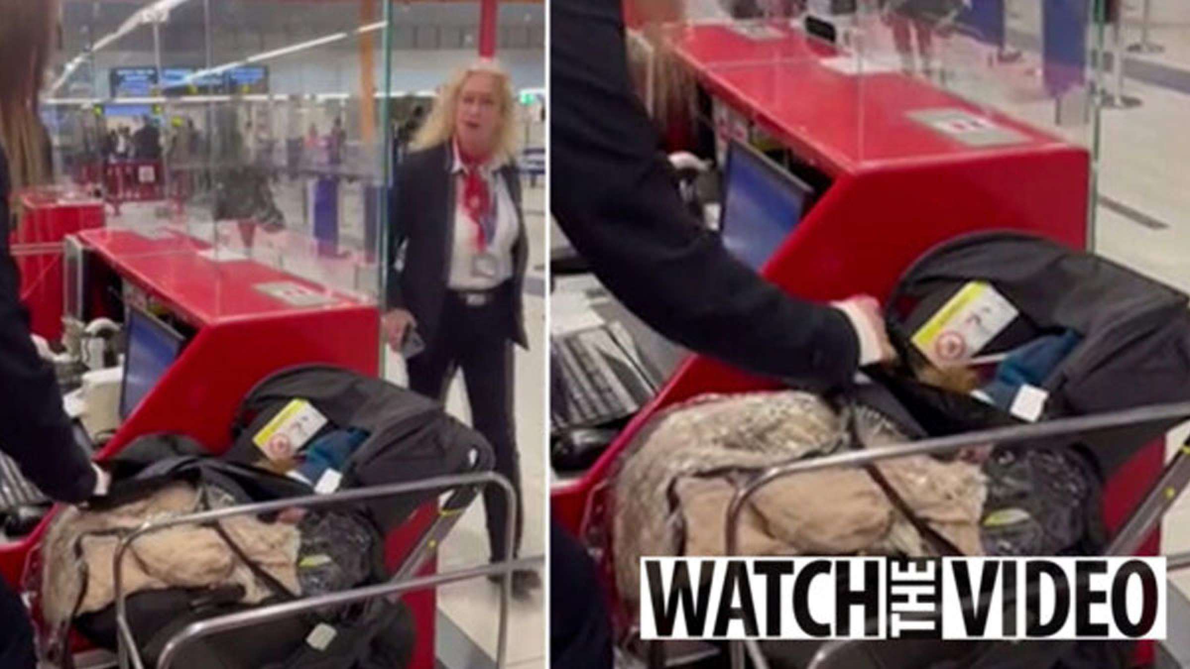 خبر-جهان-خانواده-بلژیکی-پرواز-نوزاد-فرودگاه-اسرائیل-پول-رها-رفتند