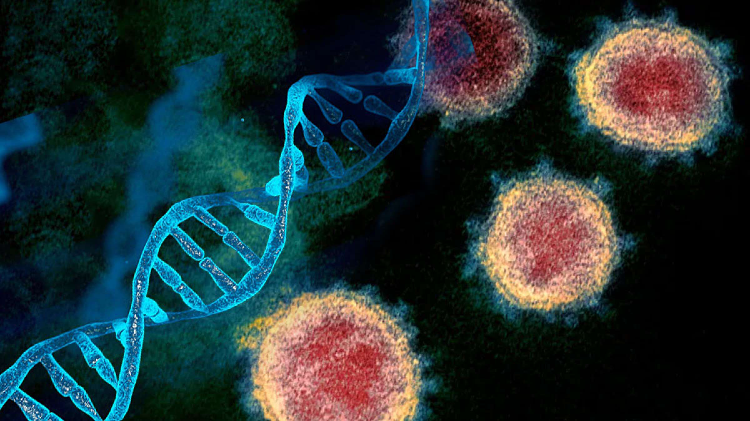 خبر-علمی-دانشمندان-ژن-هایی-که-باعث-بیماری-شدید-کرونا-می-شود-را-کشف-کردند