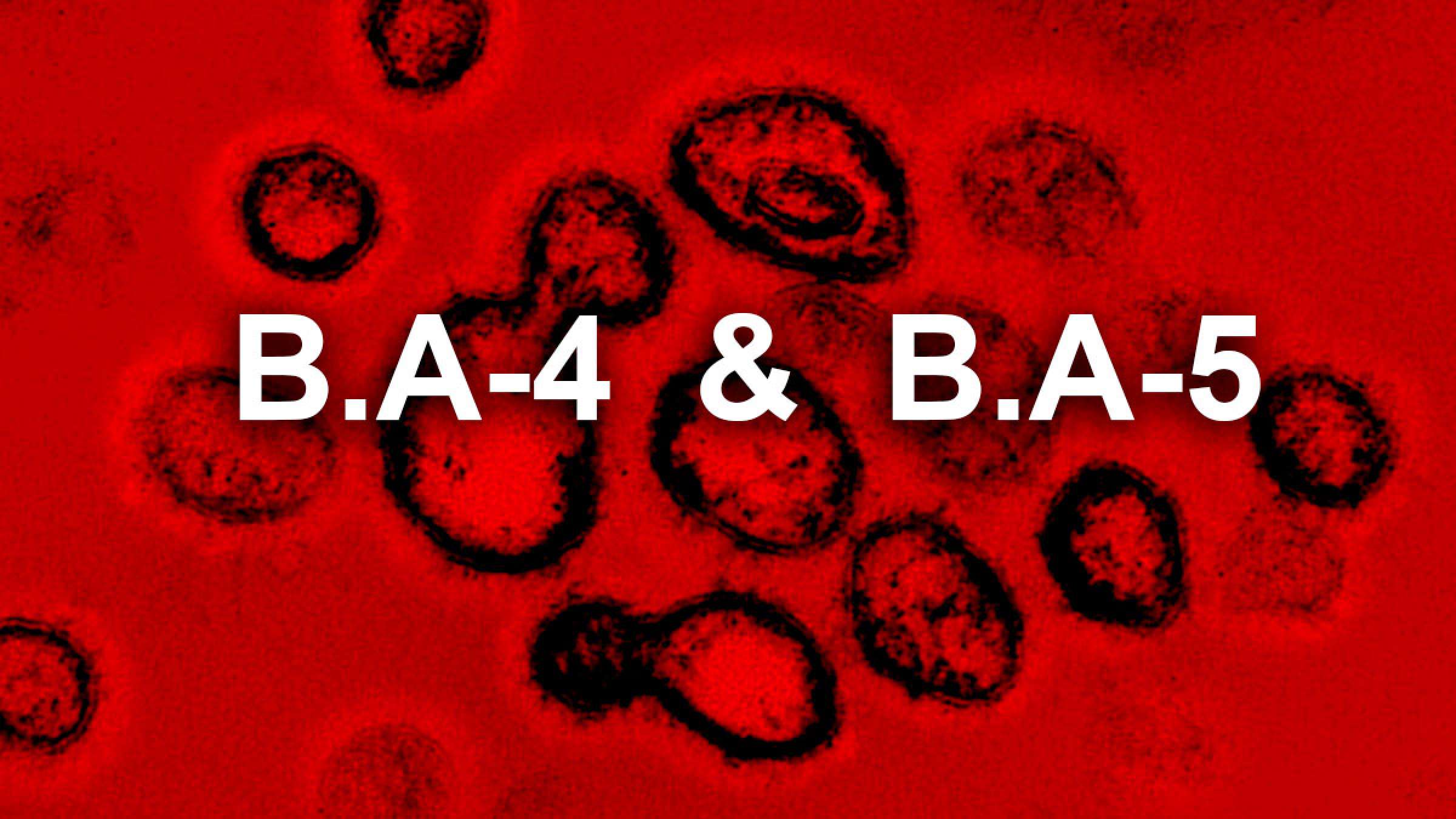 خبر-علمی-سازمان-بهداشت-جهانی-۲-زیرشاخه-خطرناک-ده-ها-نسخه-اومیکرون-شناسایی-زیر-نظر