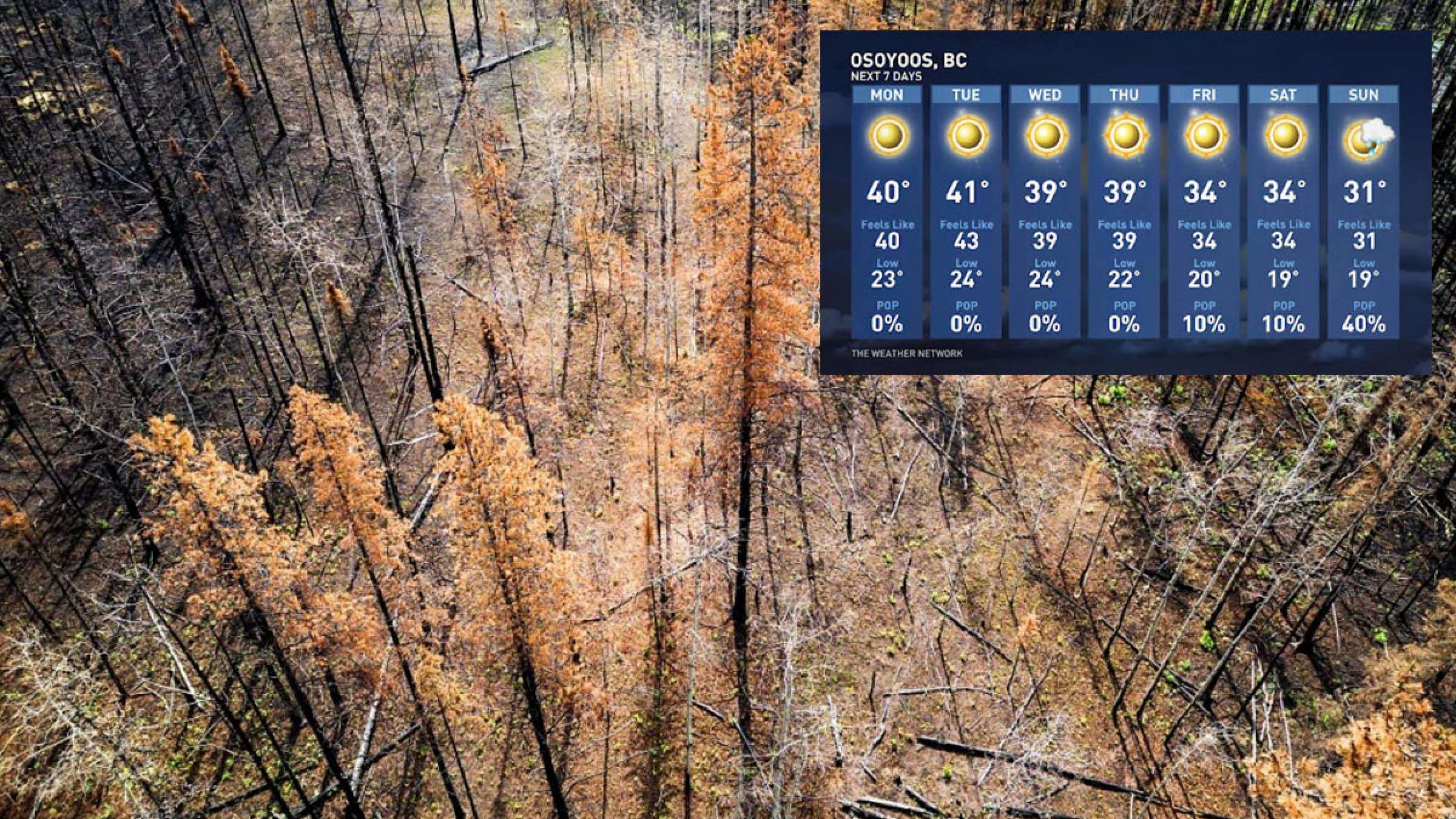 خبر-کانادا-اعلان-وضعیت-هشدار-گرما-رطوبت-۴۲-درجه-ارتش-مهار-آتش-استان-اعزام